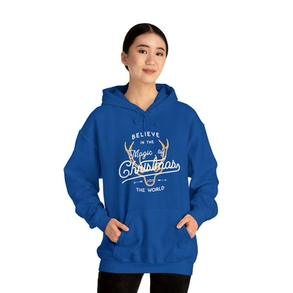 Unisex Winter hoodie, Winter season shirt, Christmas hoodie, Comfy hoodie, Christmas couple hoodie.